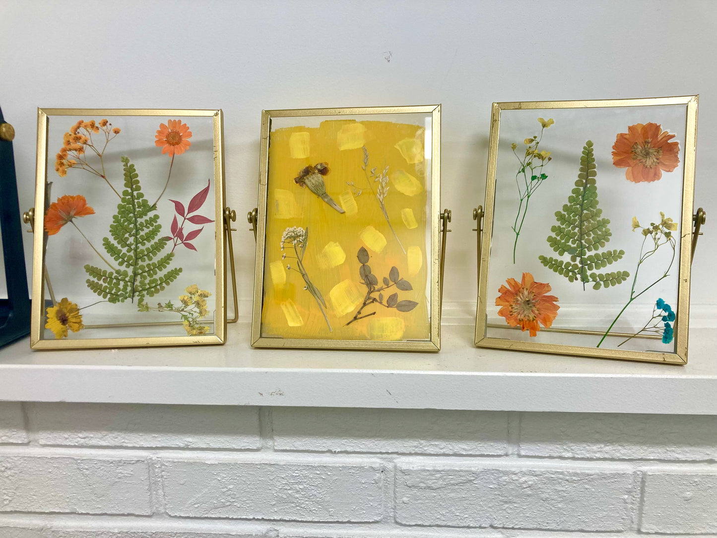 Framed Ferns
