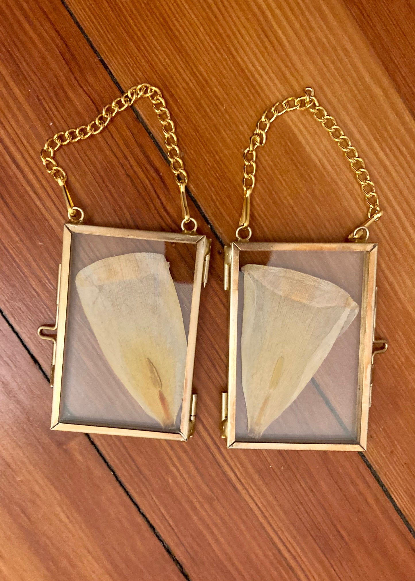 Tulip Leaf Frame