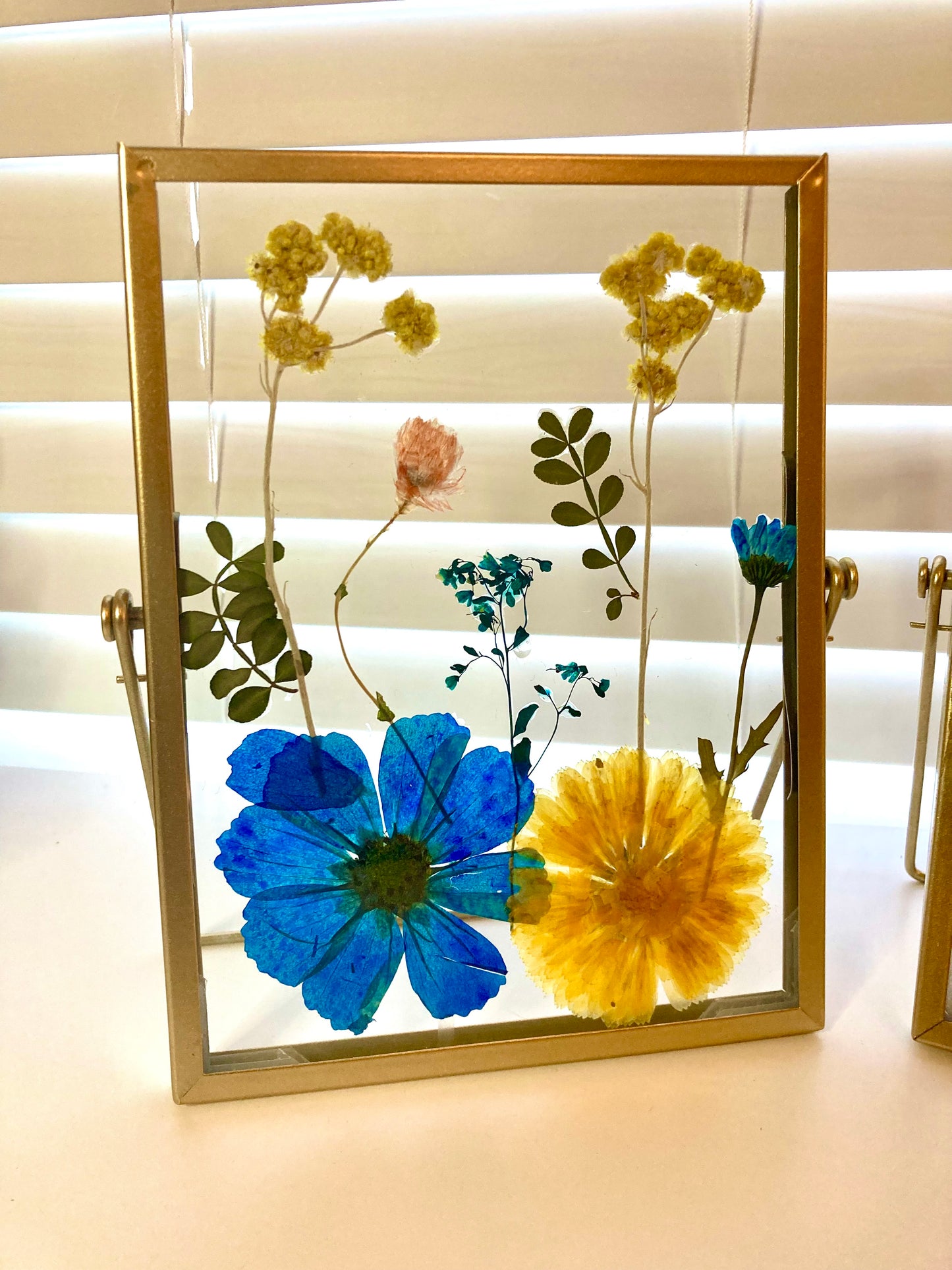 Twins Frame