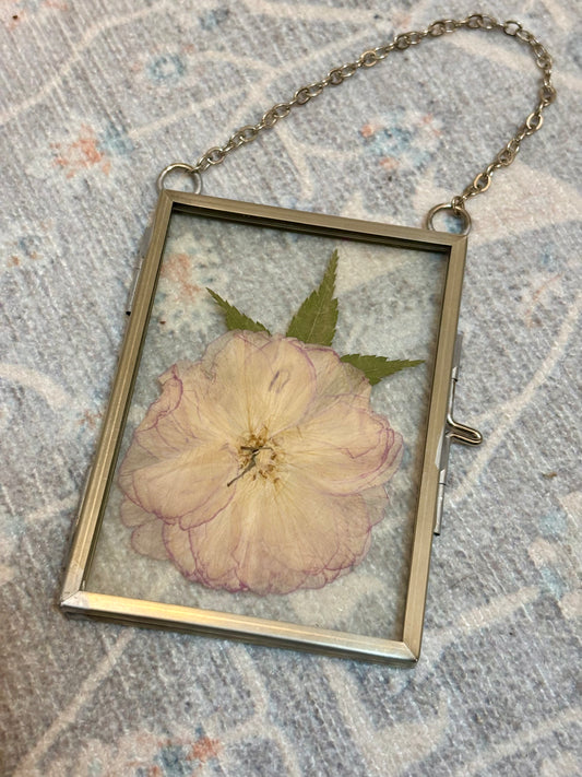 The Soft Frame