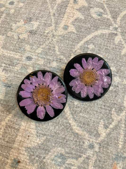 The Daisy Gal